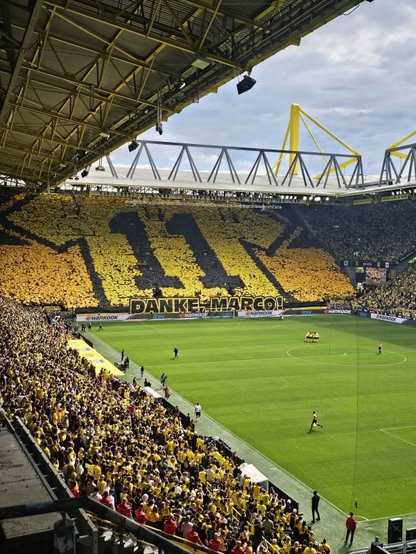 Read more about the article BVB – Darmstadt